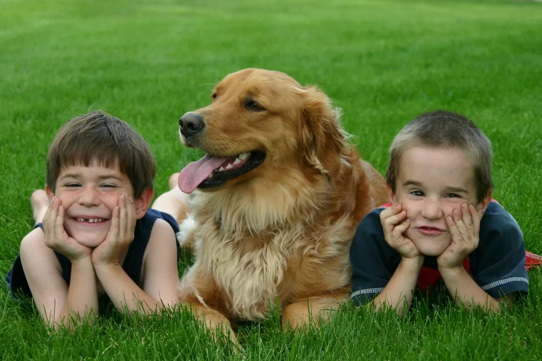 The role of pets in helping children with behavior disorders