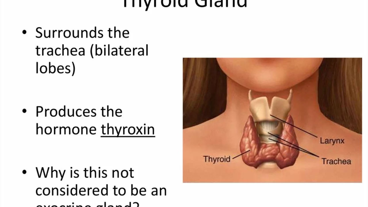 Amiodarone and Thyroid Function: What You Need to Know
